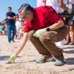 tortugas